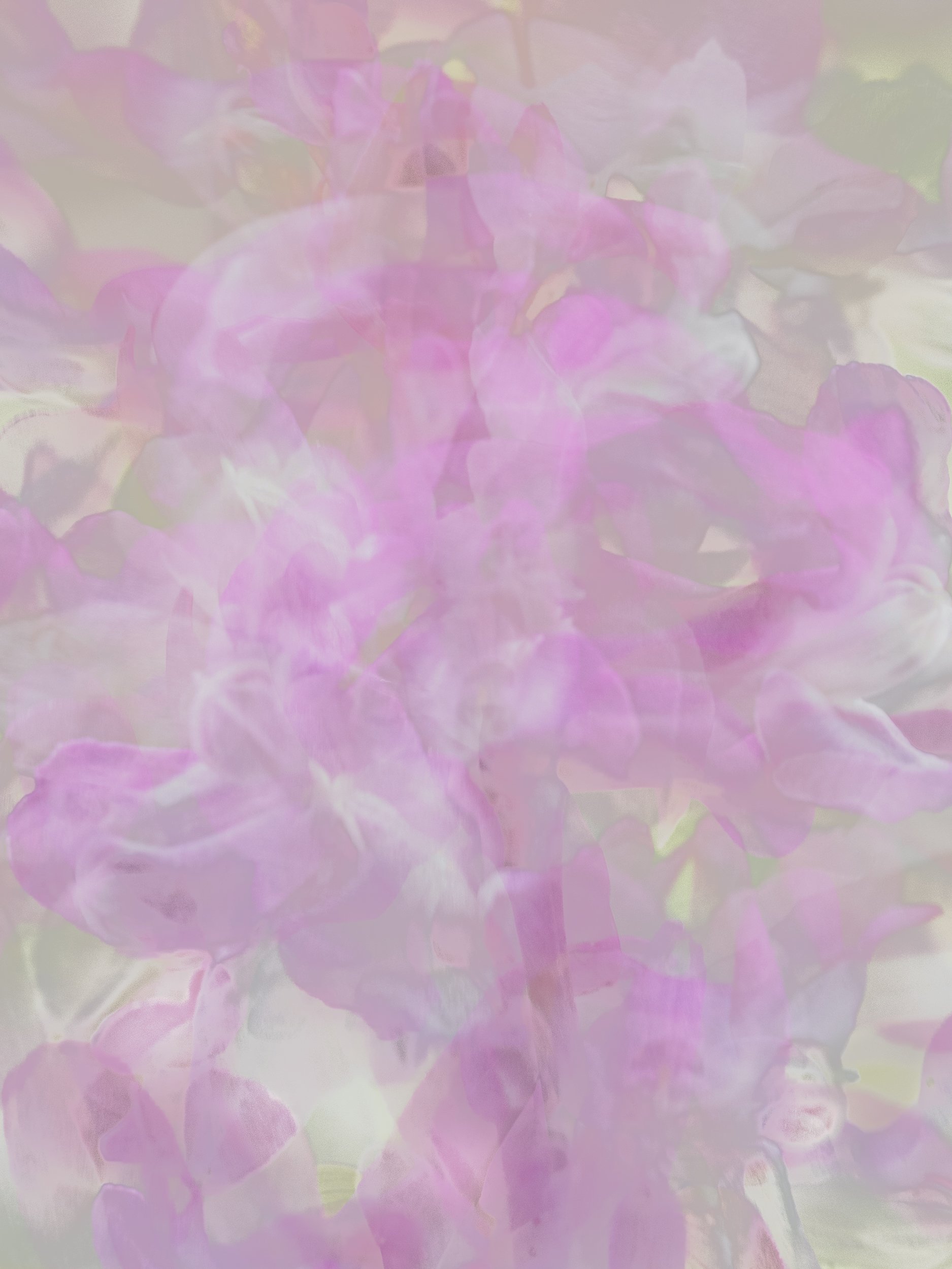 260324Bad Laer-3240041.jpg