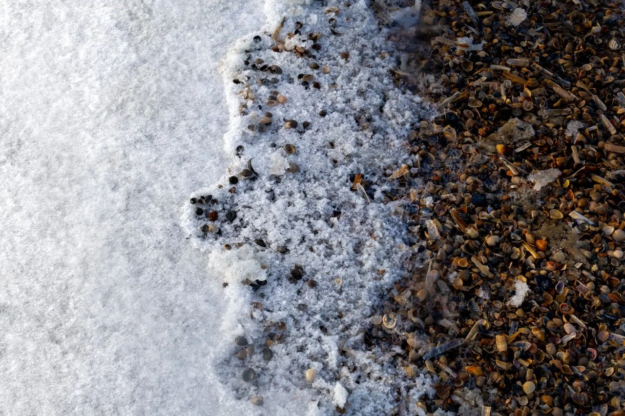 Groß (ELI_5955).jpeg