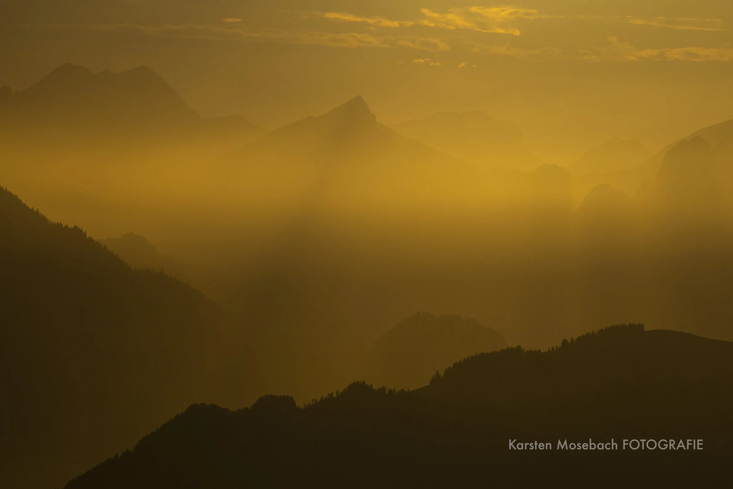Karsten_Mosebach_Steinbock-6259.jpg