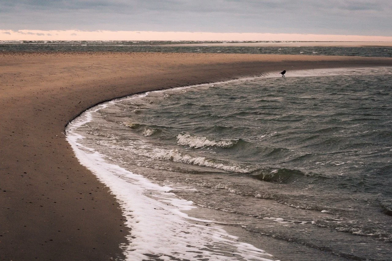 Groß (ELI_5025).jpeg