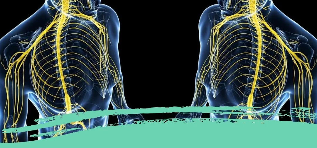 what+is+chiropractic+blog+pic.jpg