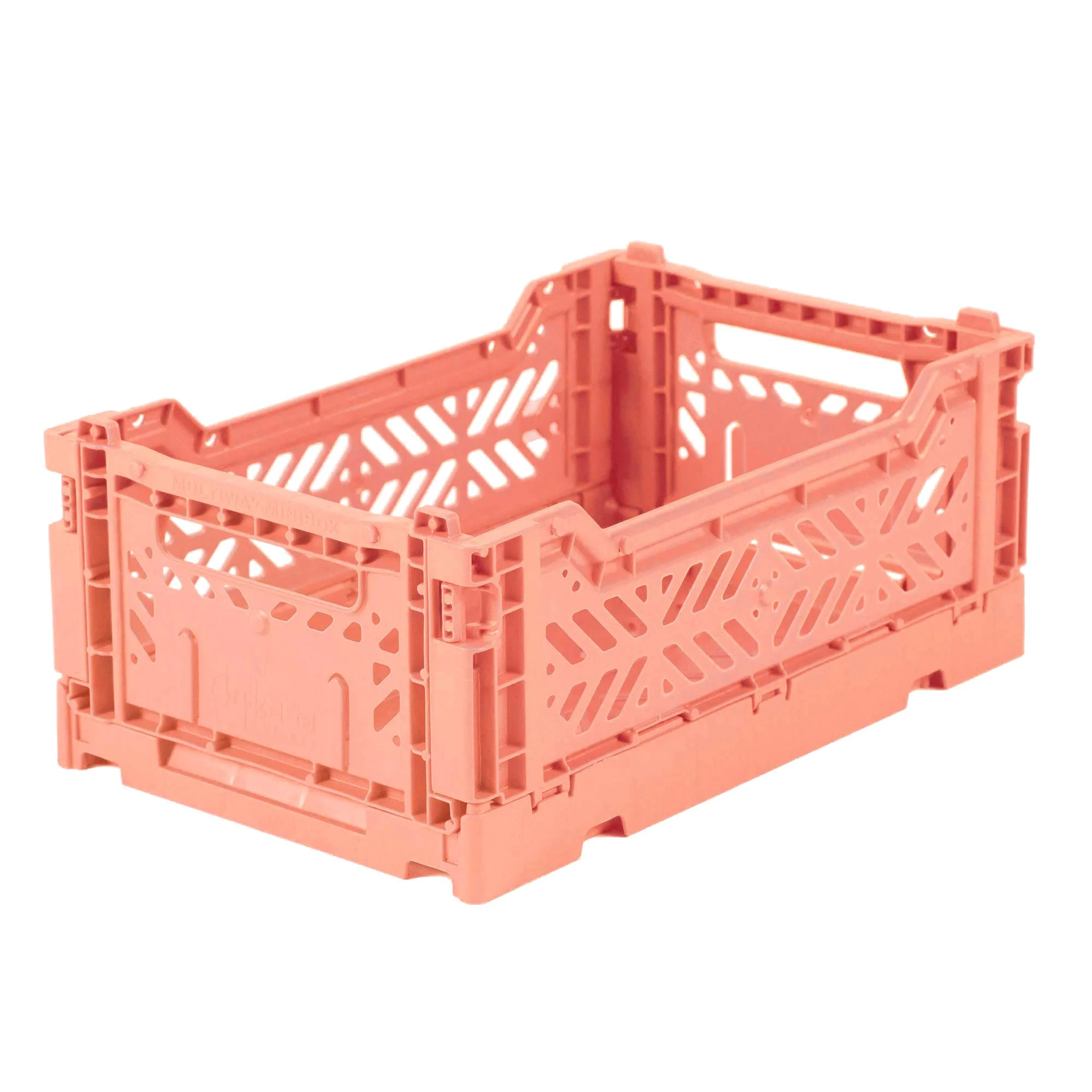 salmon-minibox.jpg