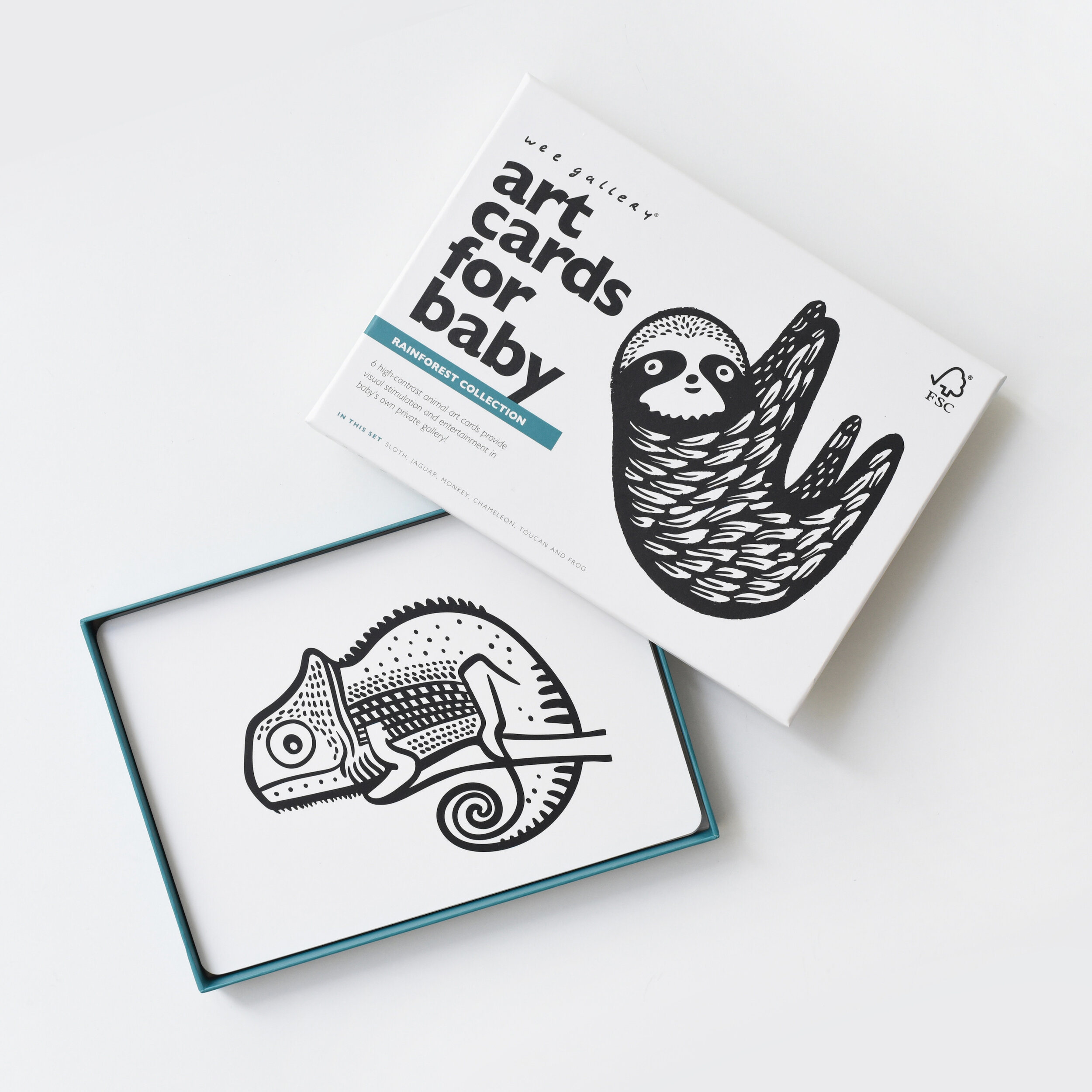 WEE GALLERY ART CARDS FOR BABY | RAINFOREST — The Little Living Company