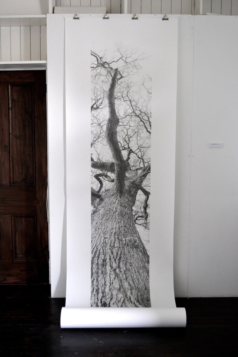   Vertical Panorama: Oak Tree  (2013). Installation view from the exhibition  Panorama , The Last Gallery, Llangadog (2013). 