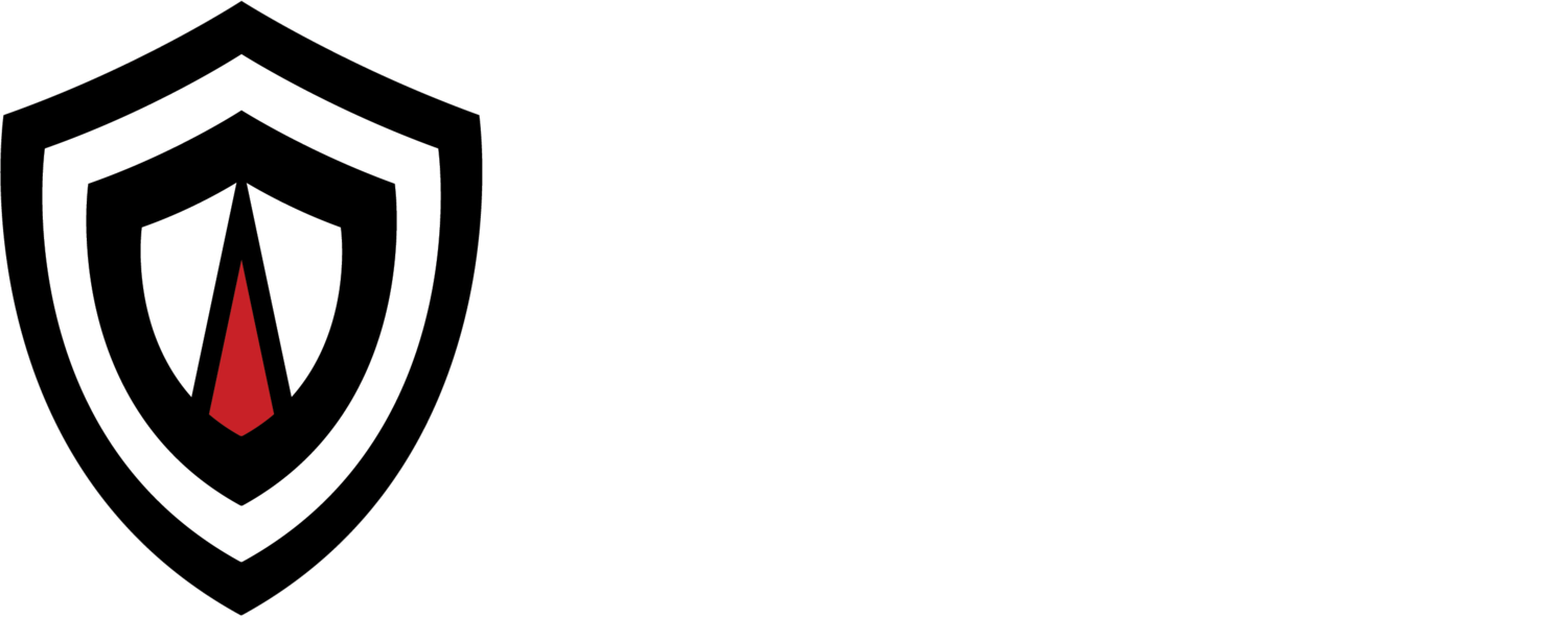 Panorama Security Services