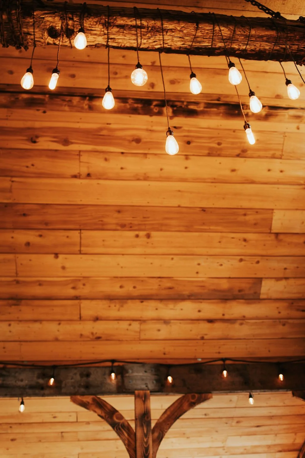 Texas NonTradtional Wedding Photographer Cindy Maiyer Photo