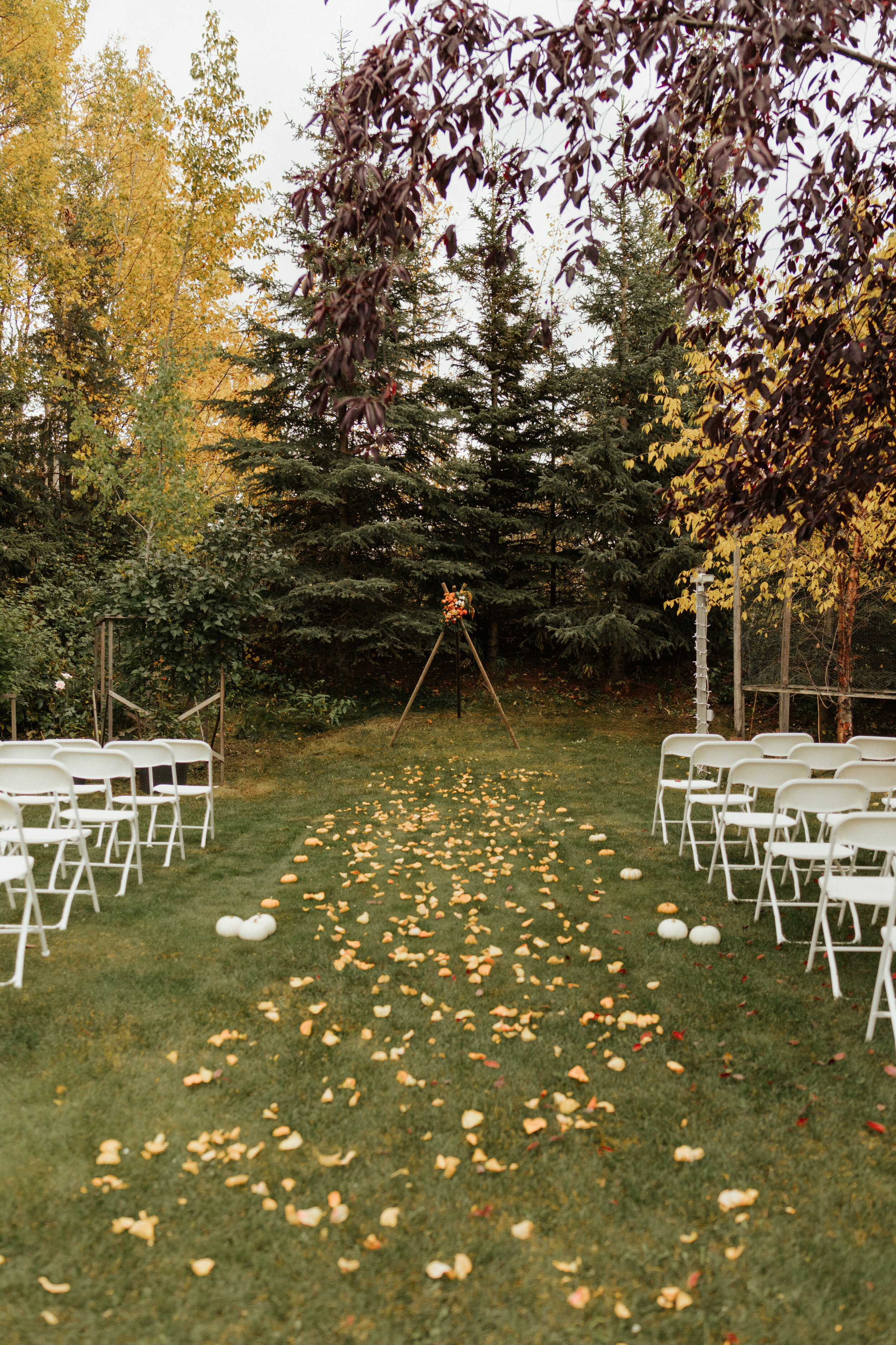 Alaska-backyard- wedding-in-Anchorage, Alaska. Photography by Cindy Maiyer Photo