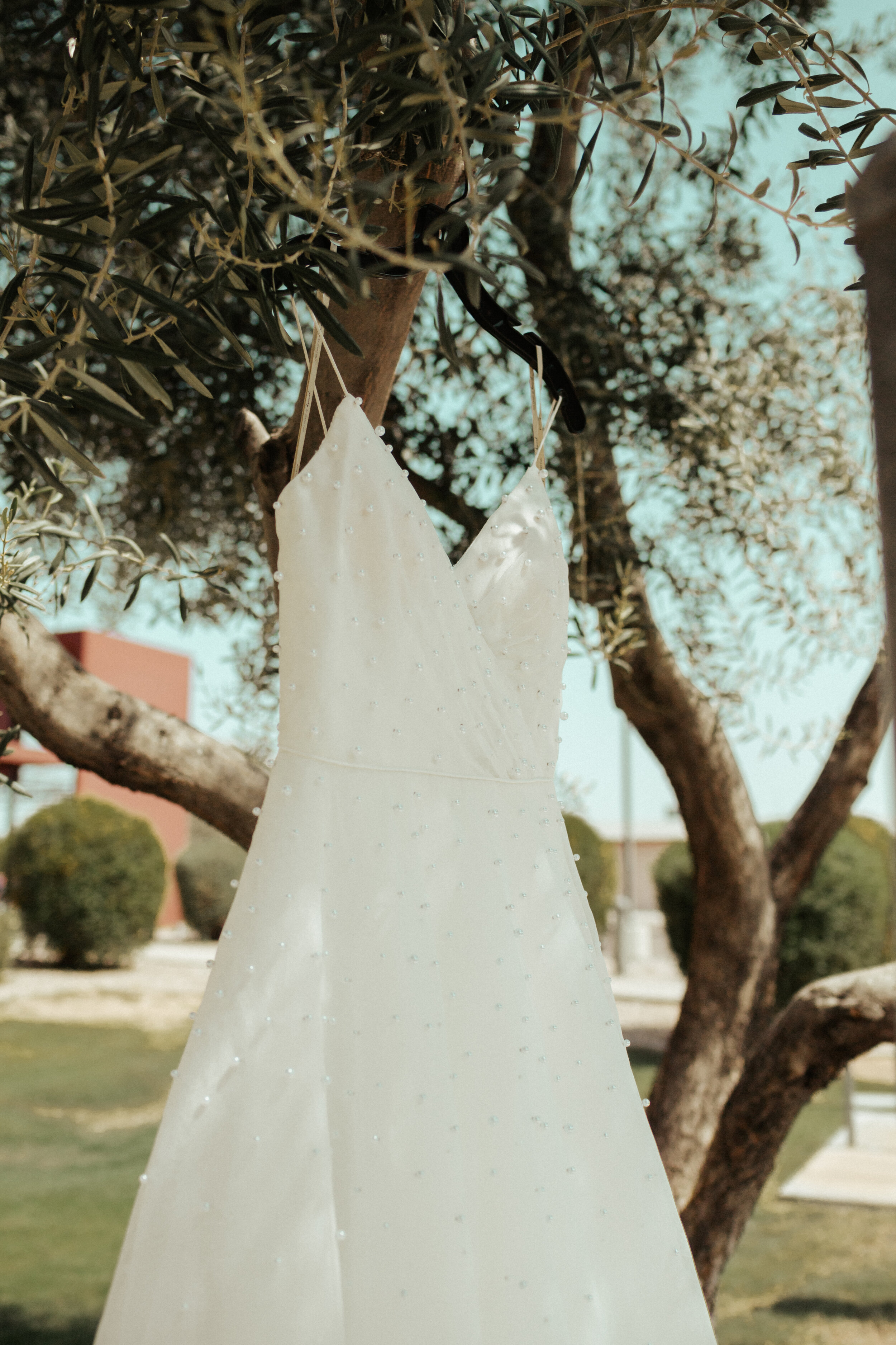 Wedding Dress photo taken in Phoenix, Arizona