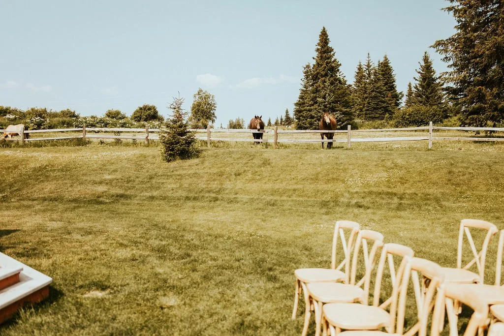 Texas NonTradtional Wedding Photographer Cindy Maiyer Photo