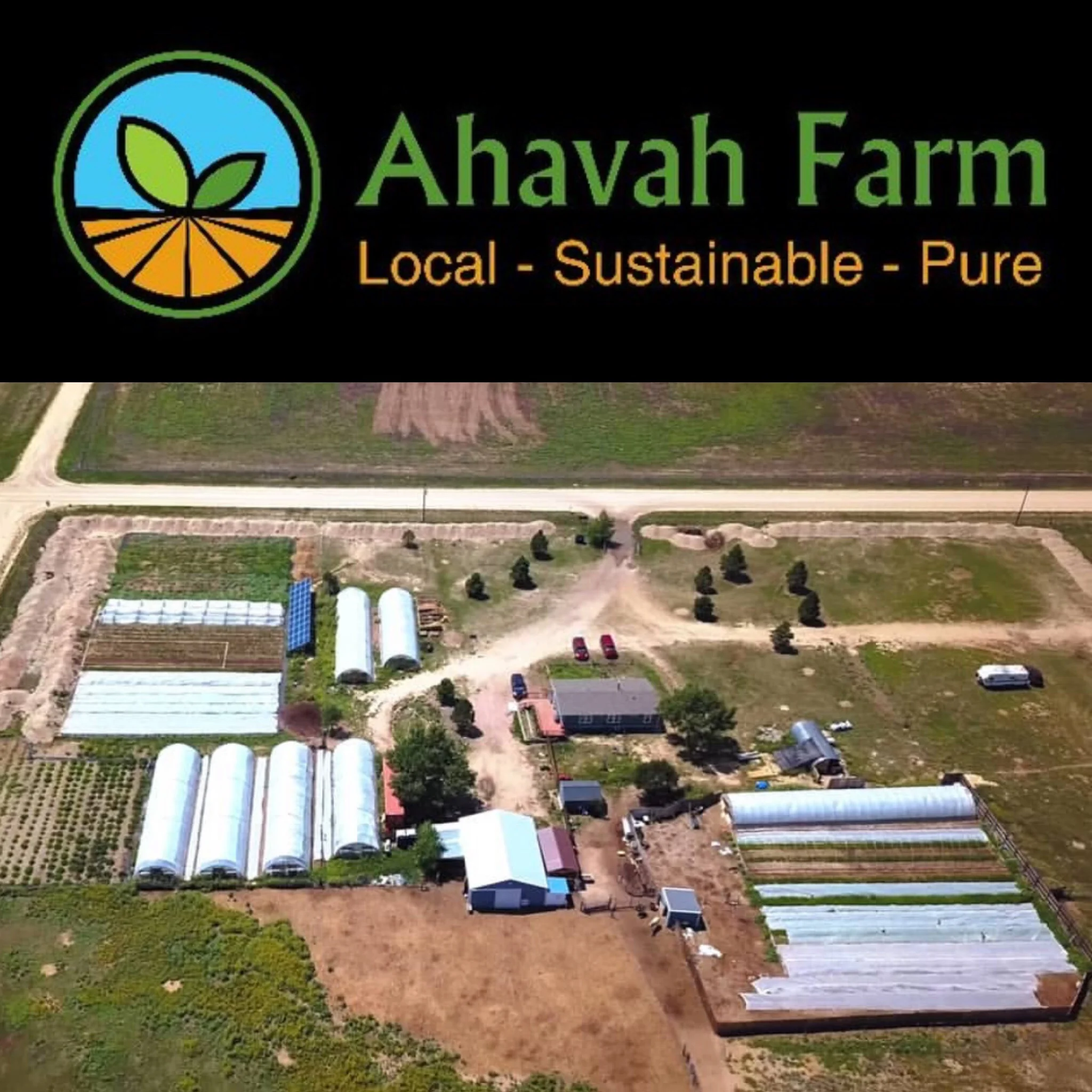 The No-Till Market Garden, Ahavah Farm