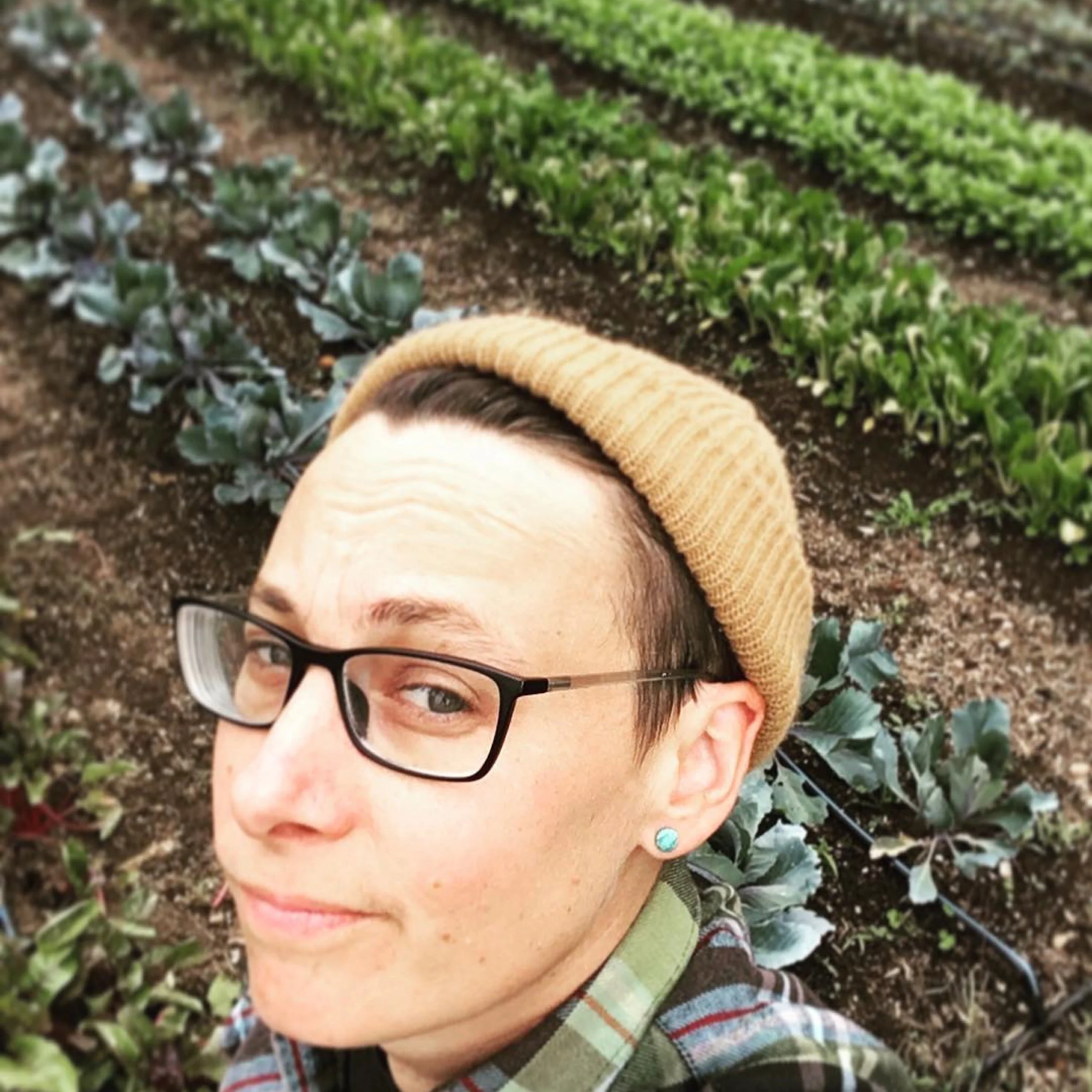 The No-Till Market Garden, Katie Boeh of Fox &amp; Bear Urban Farm 