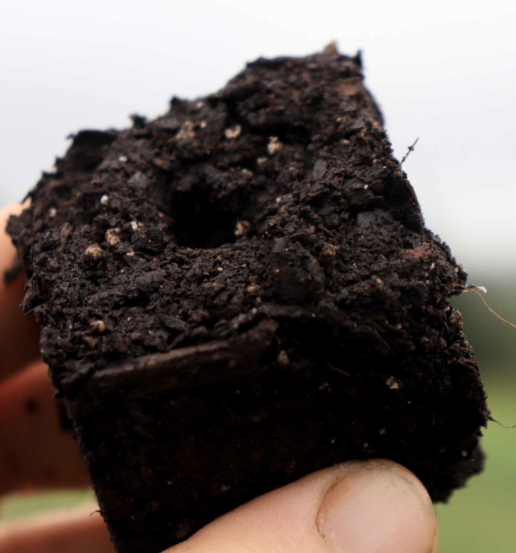 From the Forum: Soil Blocking, Top Five, &amp; Tarping Cover Crops