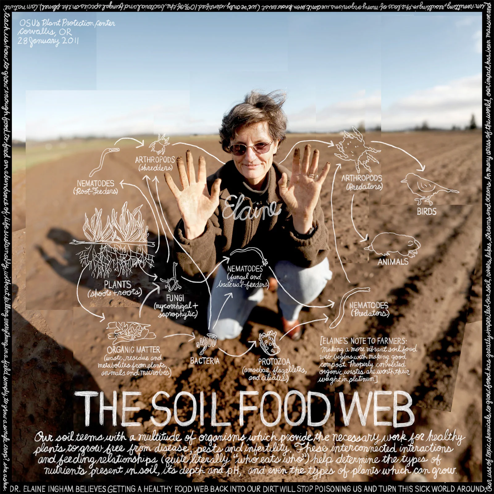 The No-Till Market Garden Podcast, Dr. Elaine Ingham