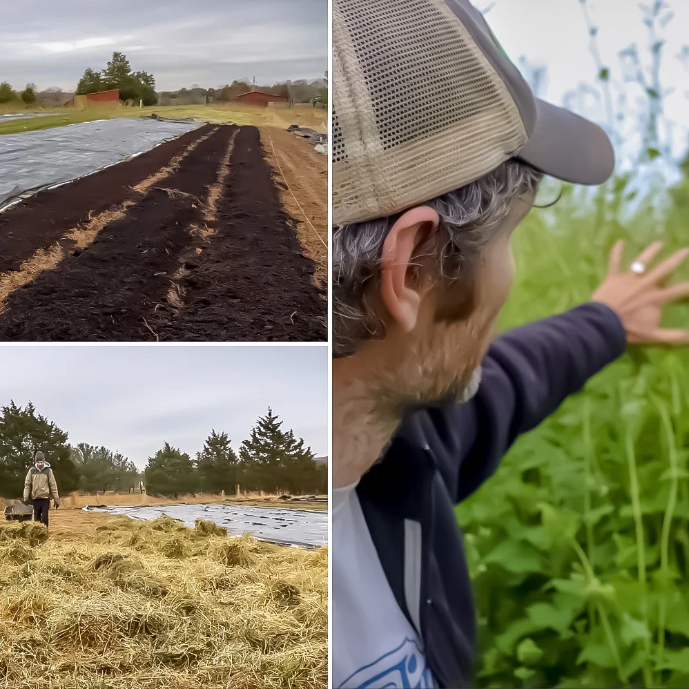 A Short List of Every No-Till Method and Who Uses Each