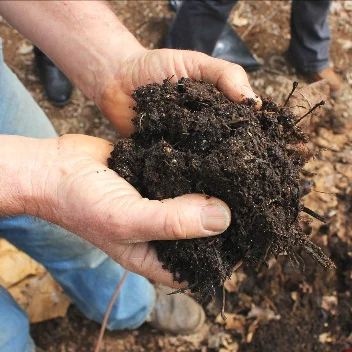 The No-Till Market Garden Podcast, Bryan O'Hara or Tobacco Road Farm