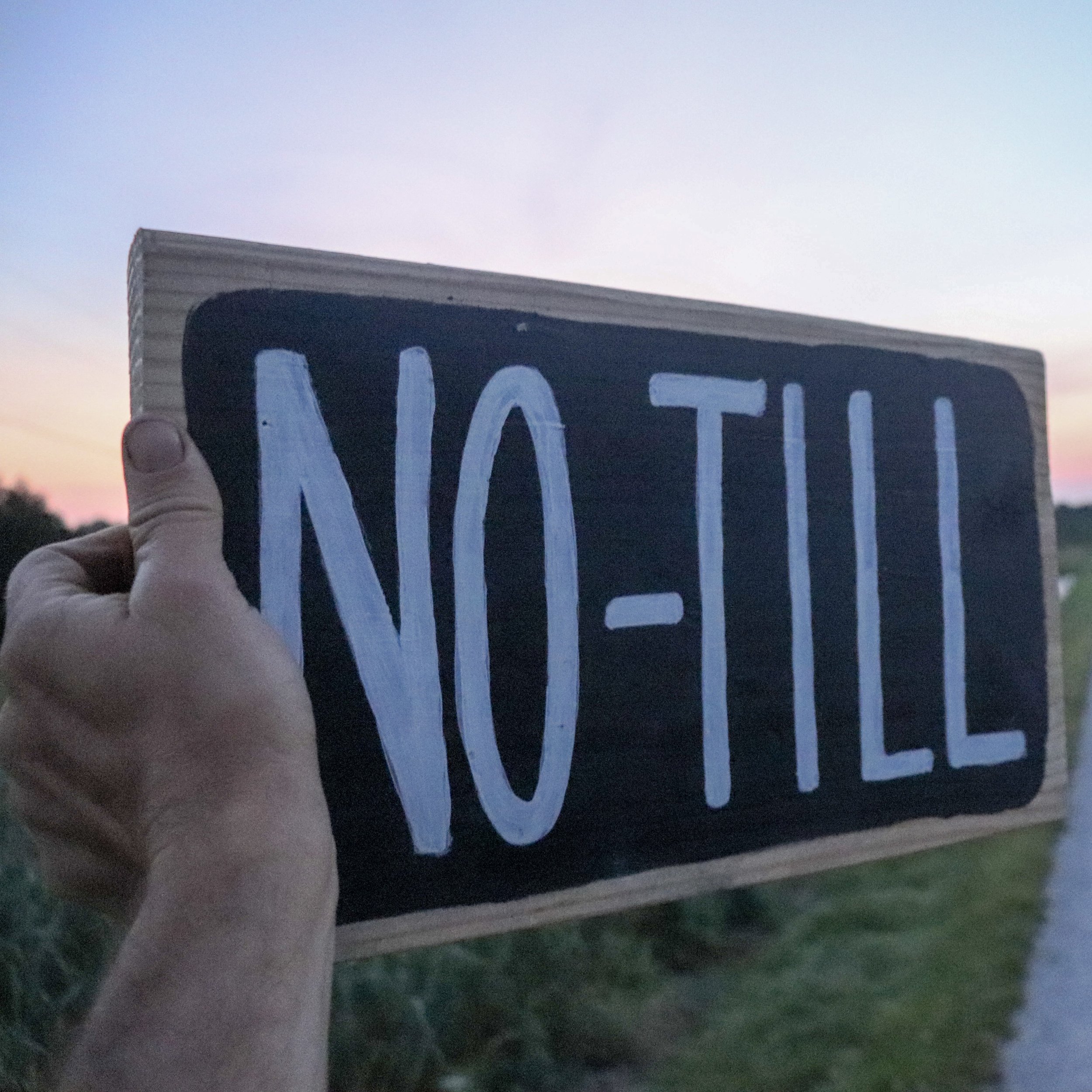 What Happened When We Put a “No-Till” Sign on Our Market Table... 