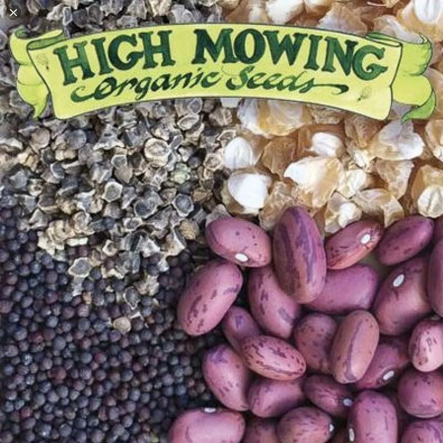 Shoutout From High Mowing Seed Co. &amp; No-Till Seed Saving