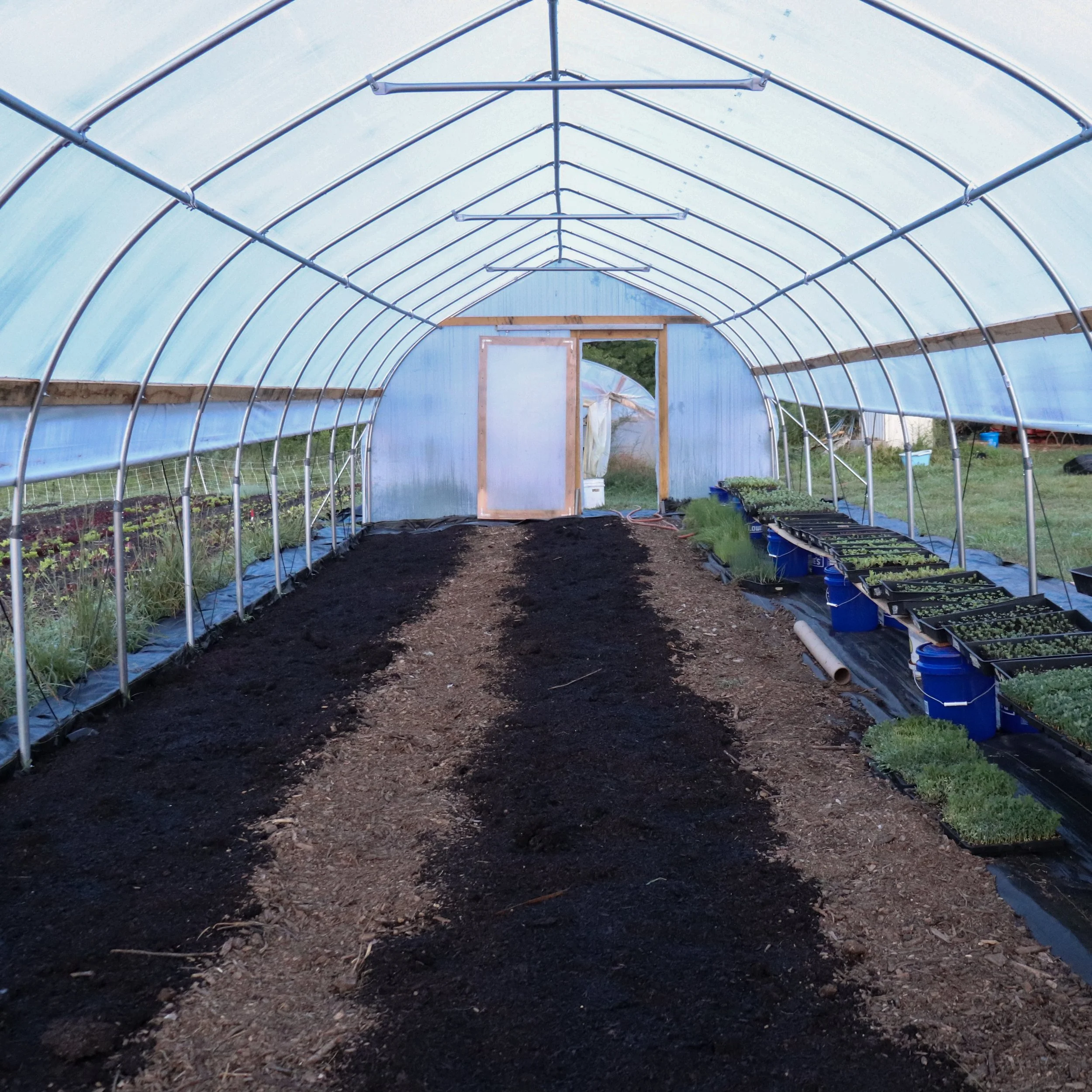 Lasagna Gardening on Scale (w/ Video)