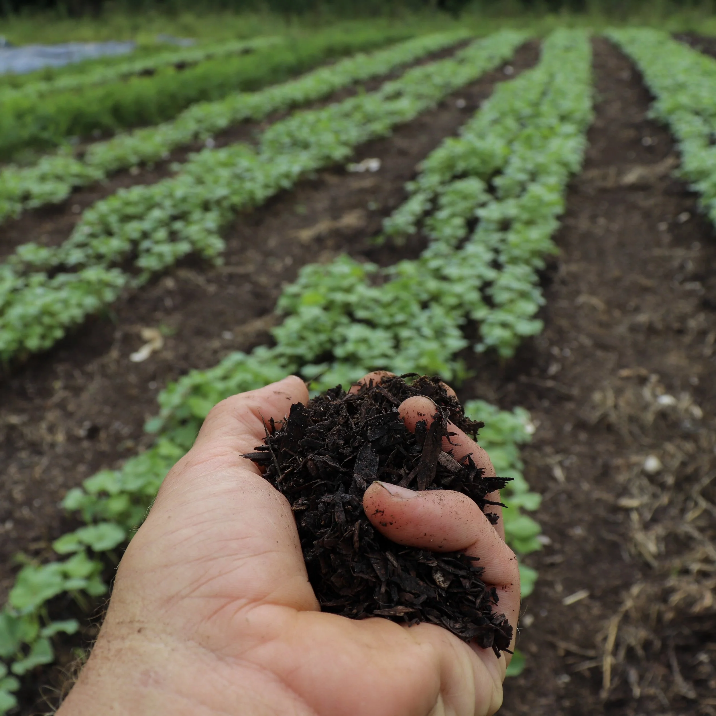 No Seriously, Context is Everything (Video)