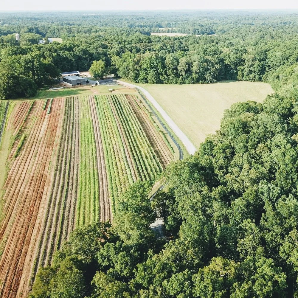 The Final Countdown, Wild Hope YouTube, &amp; Compost Cover-Crop Study