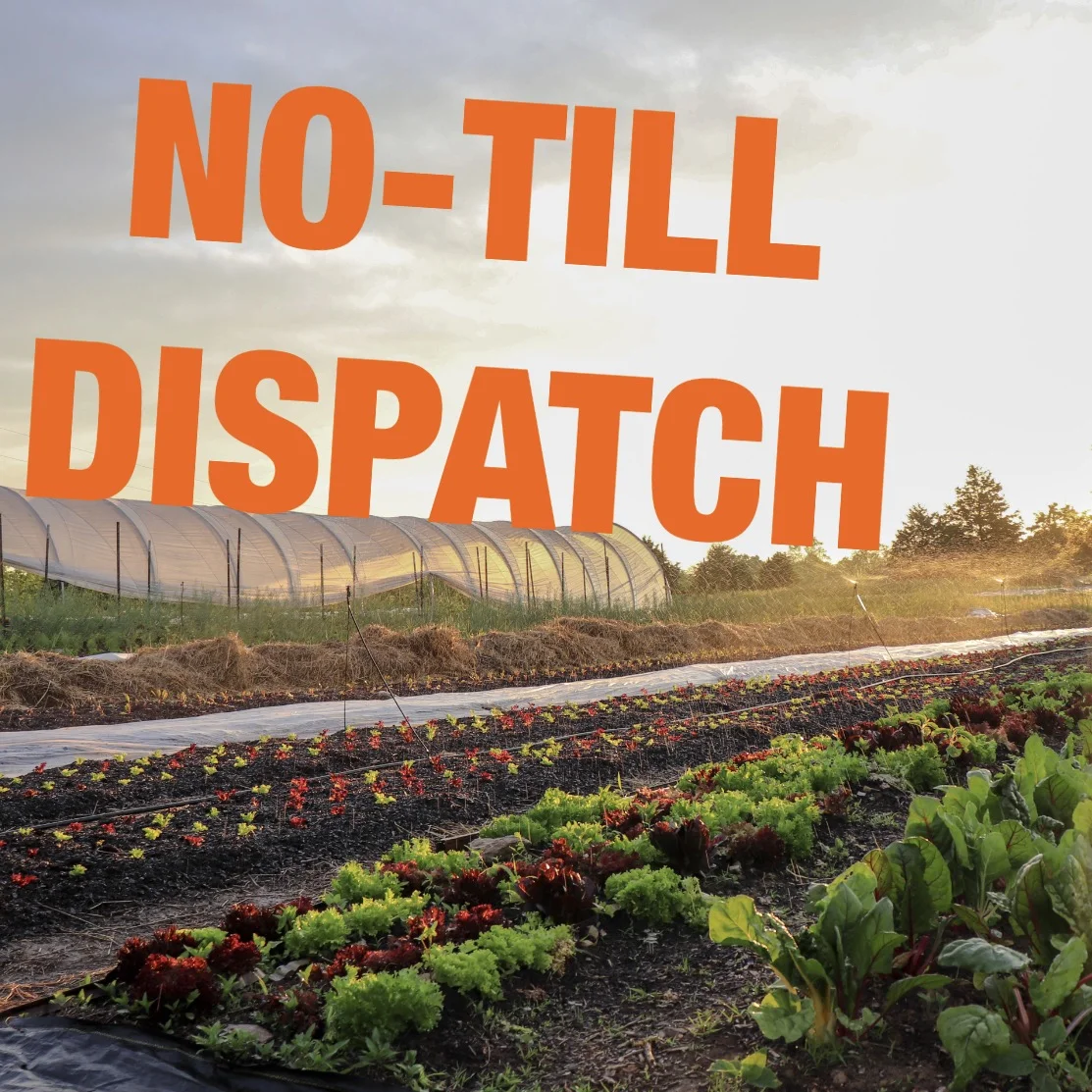 Mini Podcast: Why No-Till Is Important (Even for Folks Who Hate It)