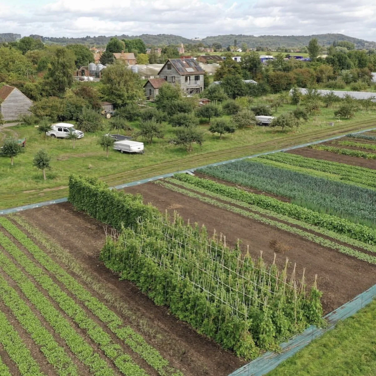 How We Found [the Best of] Oxton Organics &amp; Could There Be More?