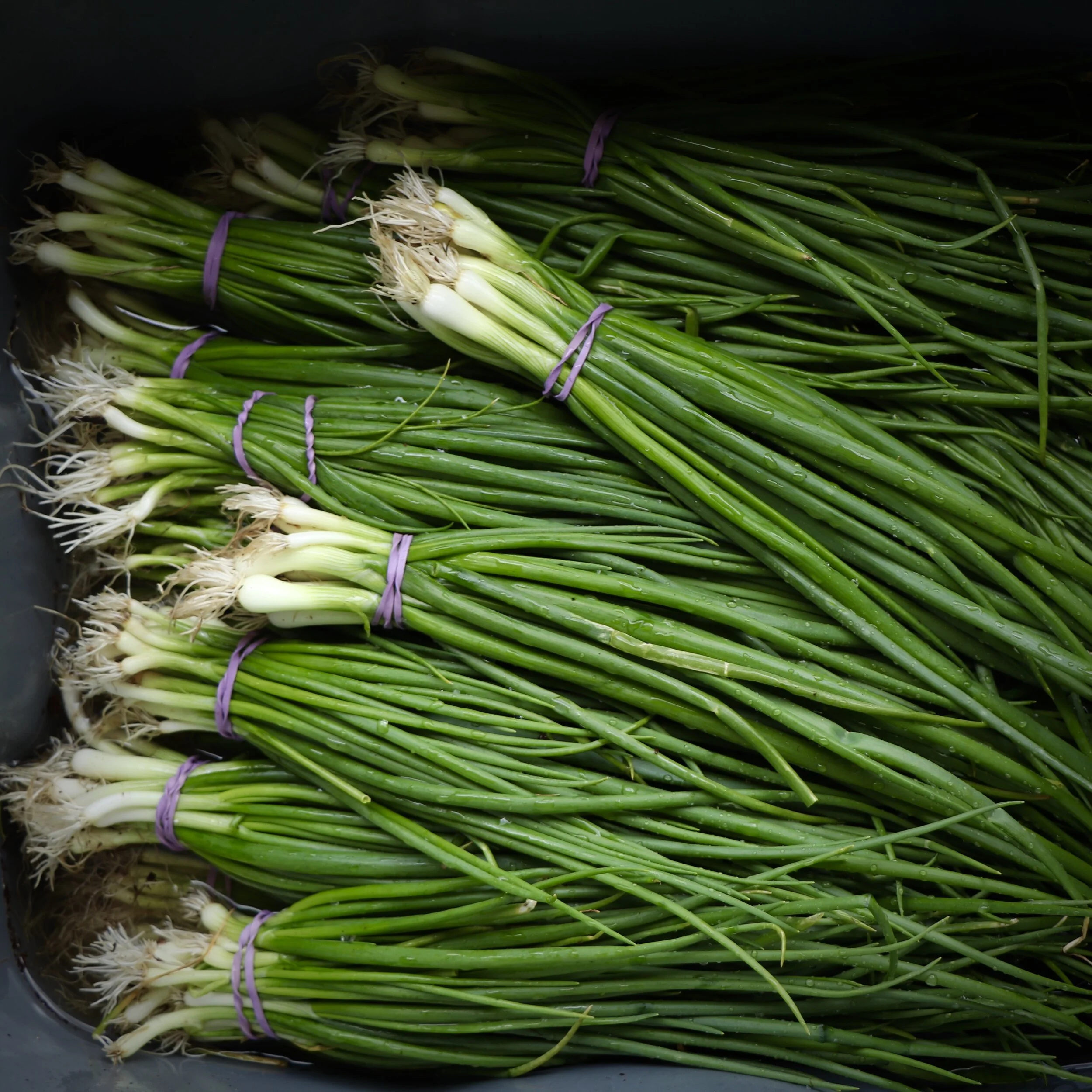 It's Gonna Get Better Before it Gets Worse