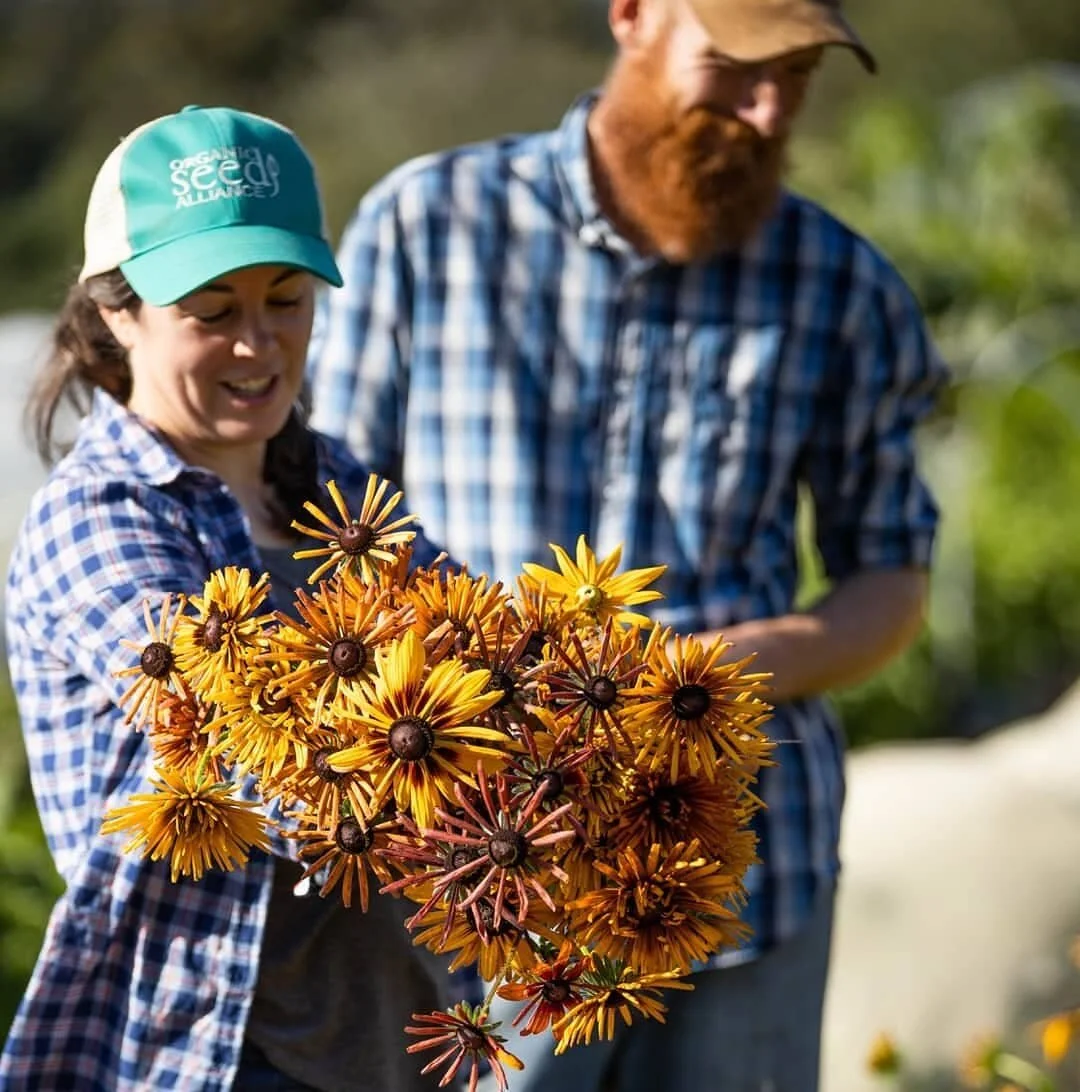 How Broadfork Farm Will Make No-Till Growers Obsolete — No-Till Growers