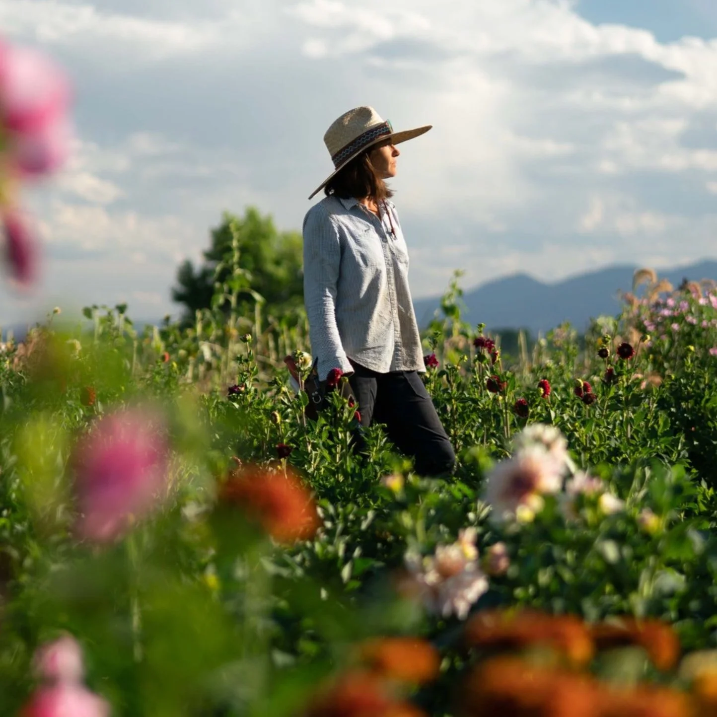 Helen Skiba of Artemis Flower Farm