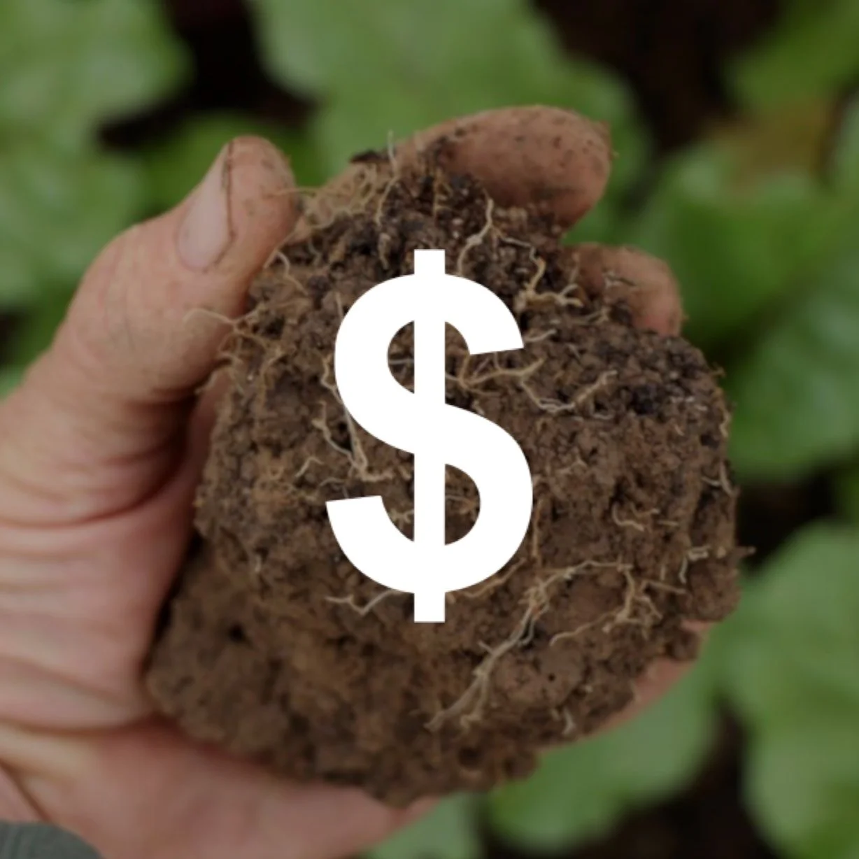 No-Till Growers by the $s for 2021