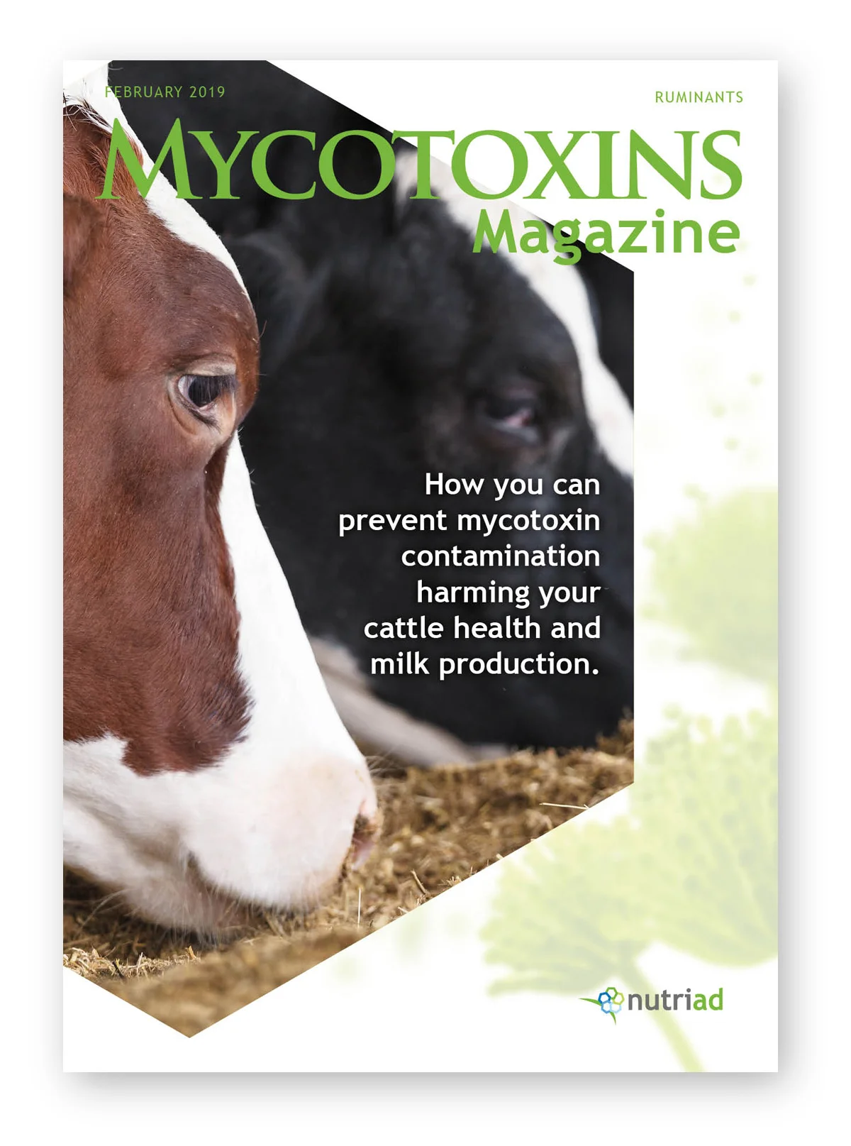 DeBladenbouwers-bedrijfsmagazines-Agrimarketing-animal nutrition-01.jpg