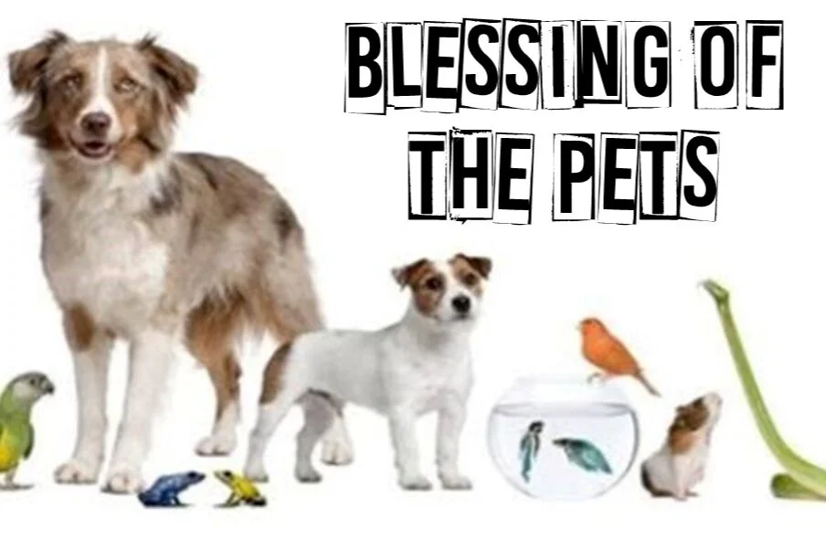 Blessing of the Pets