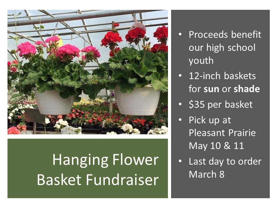 Hanging Basket Sale
