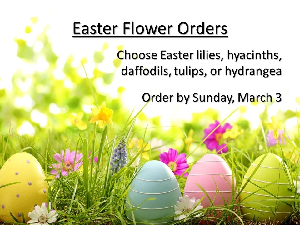 Flowers for Easter