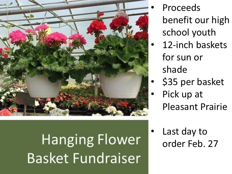 Hanging Basket Sale