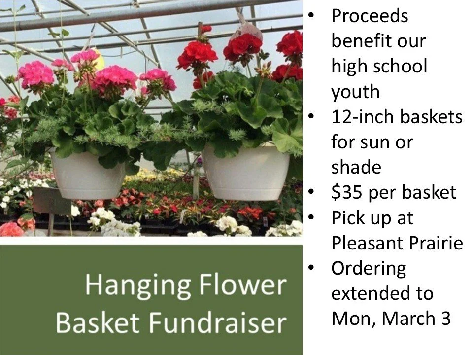 Hanging Basket Sale