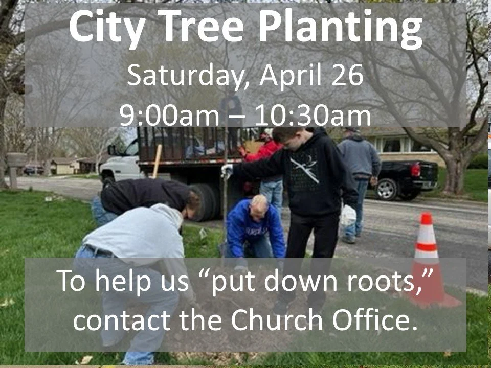 City Tree Planting 