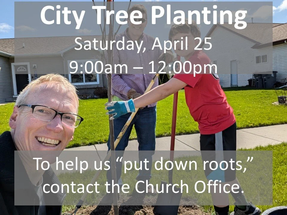 Faithful Service Opportunity-City Trees 