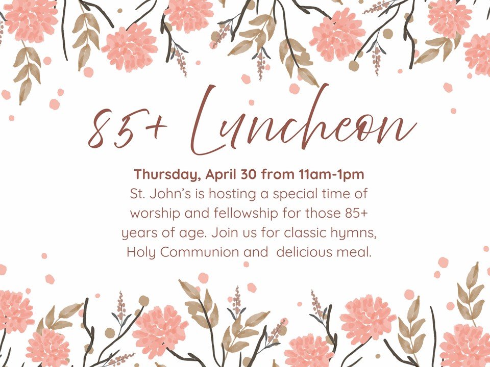 85+ Luncheon 