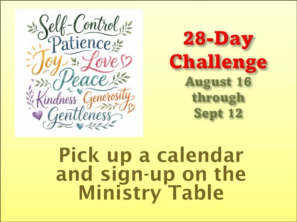 28 days Challenge