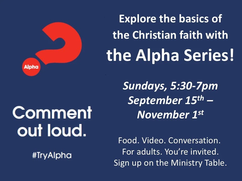 Alpha small group