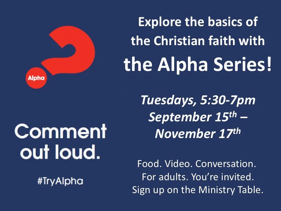 Alpha small group