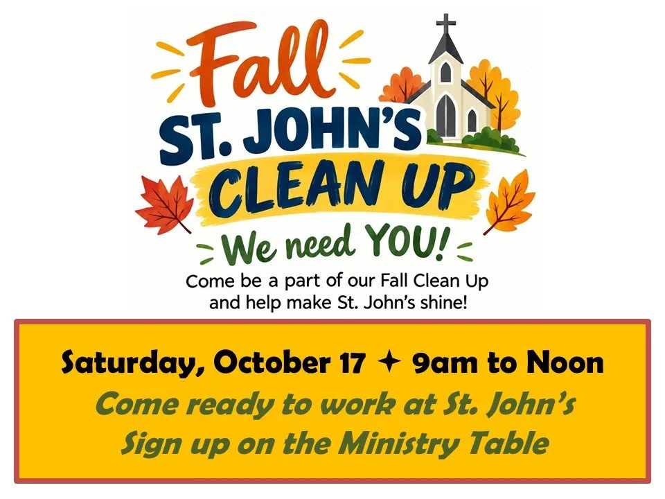 Fall St. John's Clean up