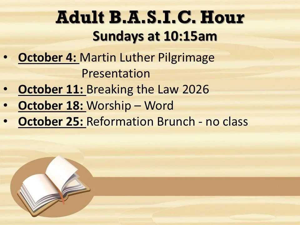 Adult B.A.S.I.C