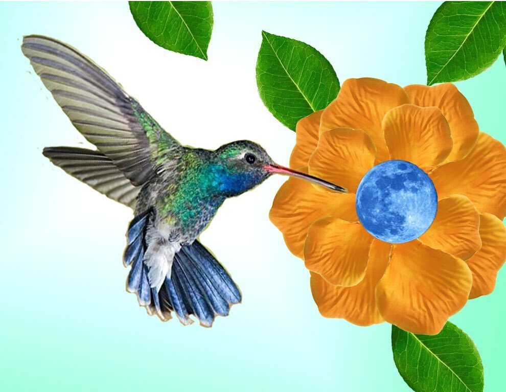 Hummingbirds and Ravens!  Join Lily Jo&rsquo;s Revolution at Rellik Winery on Sunday, June 28th from 4-6 pm.  We have some new tunes to share along with our classics like &ldquo;Hummingbird&rdquo; and others!  lilyjosrevolution.com  #lilyjosrevolutio