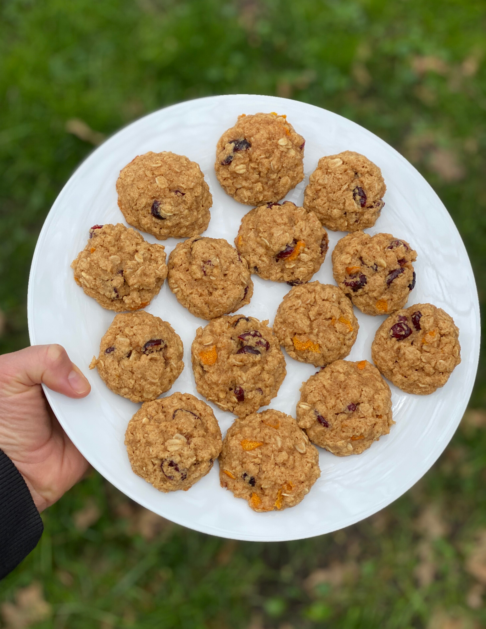 holistichealthbyholly_paleoish_cookies3.png