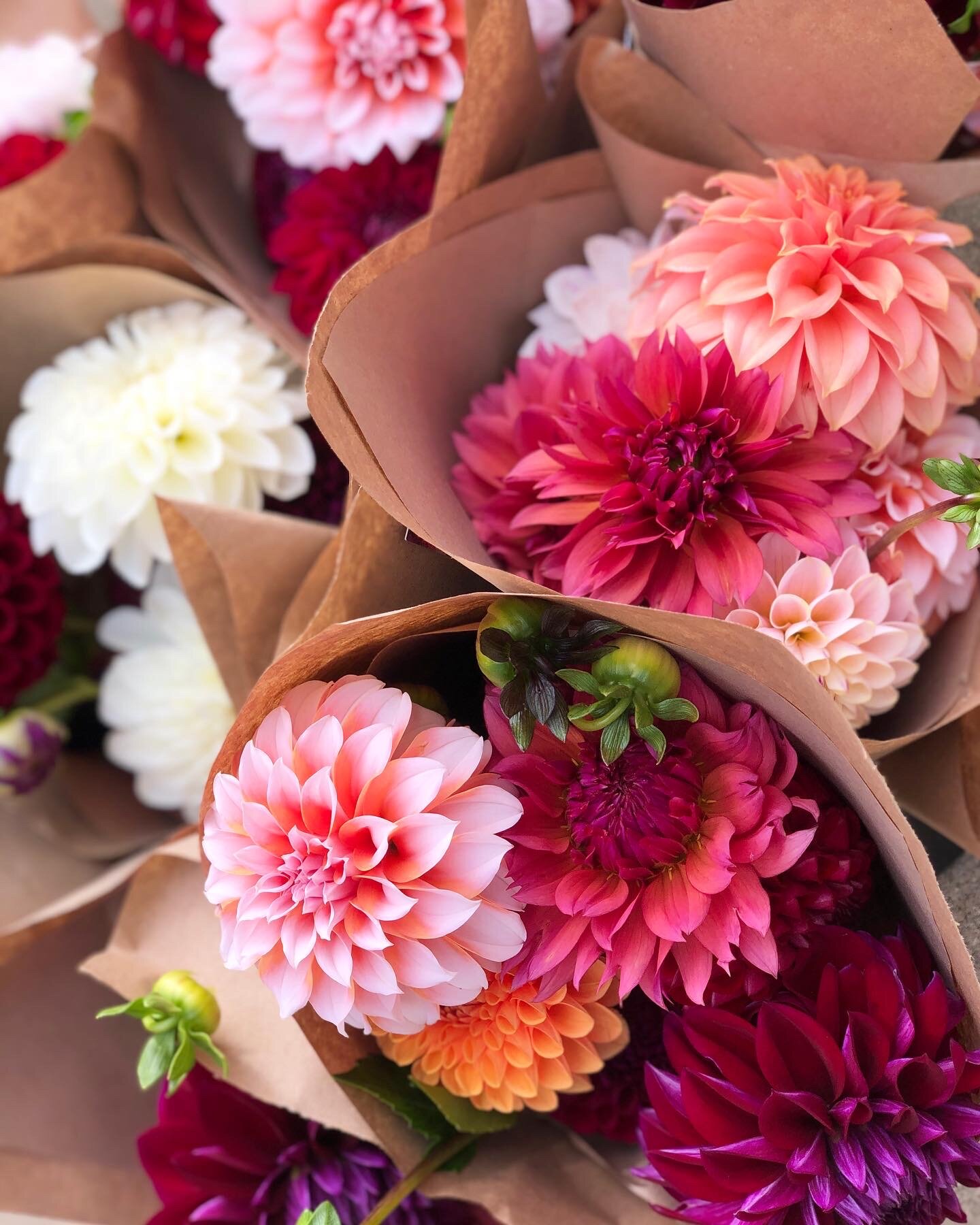 Gift Card- Give the Gift of Flowers