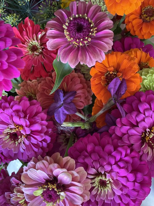 Sympathy & Funeral Flowers — MAGNOLIA SPRING FARM