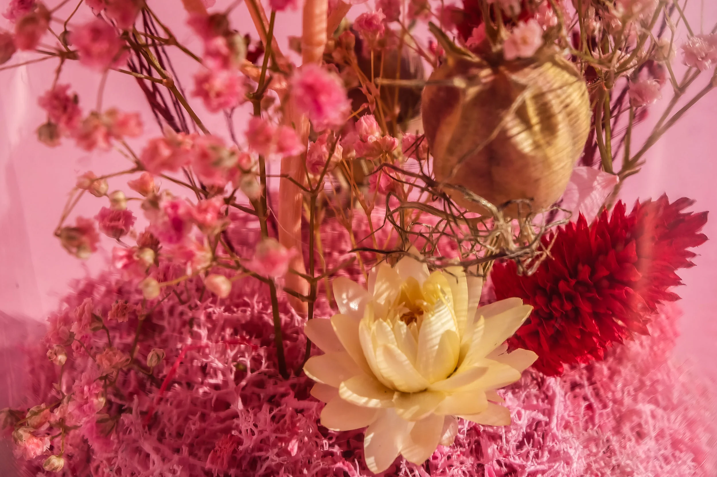 DSCF9045.jpg