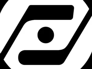 RoofDaddys.com